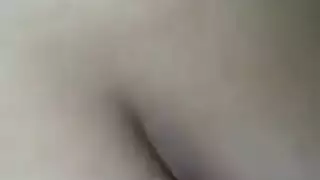 حيانت حبيبه