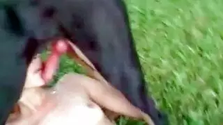 افلام سكس حيوانات نفوته بالمراه كله كله