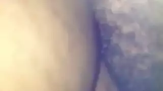 المداعبة ربط الحذاء الهرة الأكل